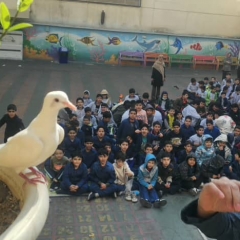 شعبده بازی روز دانش آموزدبستان شیخ محمد خیابانی-1404